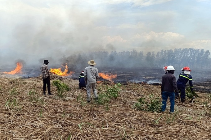 Fire destroys Khanh Hoa forest - 1 Fire destroys Khanh Hoa forest - 1