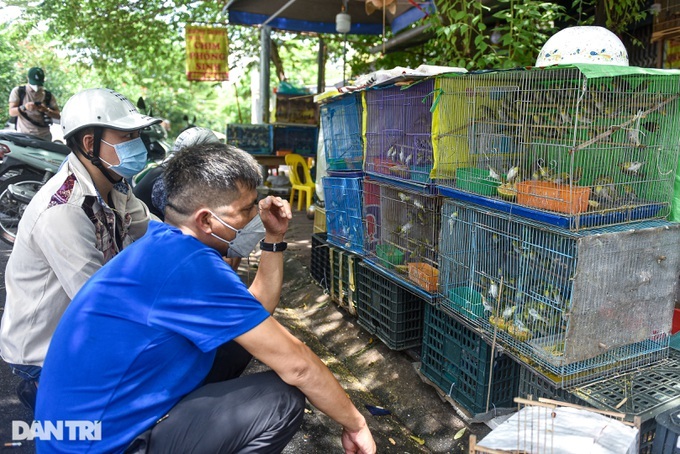 Ghost Festival ceremony birds sell well - 8 Ghost Festival ceremony birds sell well - 8