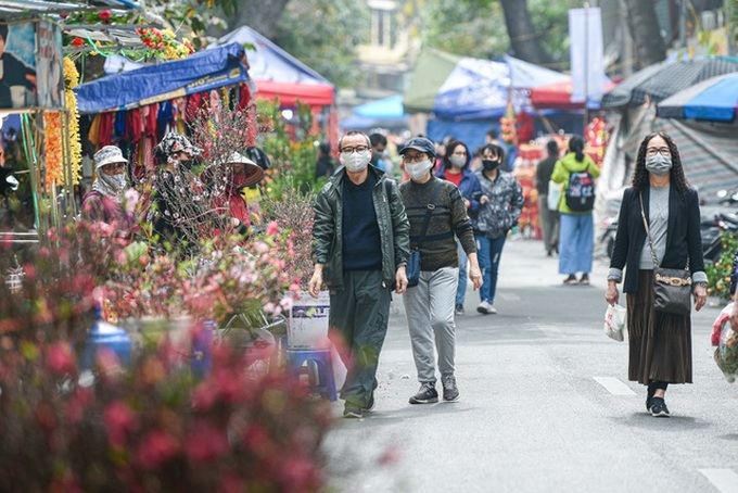 Hanoi streets to serve as Tet flower market - 1