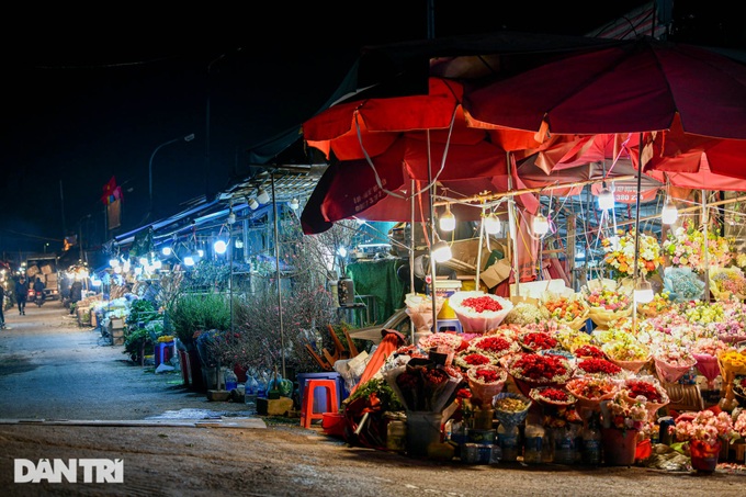 Hanoi flower market open 24 hours a day for Tet demand - 6 Hanoi flower market open 24 hours a day for Tet demand - 6
