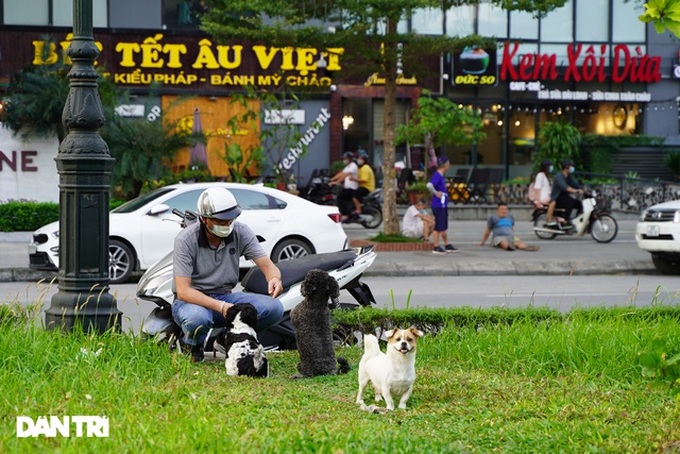 Unmuzzled dogs on Hanoi streets pose dangers - 6 Unmuzzled dogs on Hanoi streets pose dangers - 6