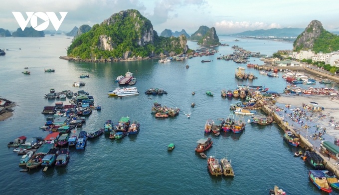 Fish market by Bai Tu Long Bay - 7 Fish market by Bai Tu Long Bay - 7