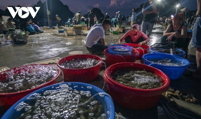 Fish market by Bai Tu Long Bay - 3 Fish market by Bai Tu Long Bay - 3