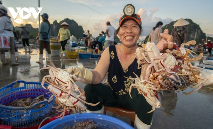 Fish market by Bai Tu Long Bay - 4 Fish market by Bai Tu Long Bay - 4