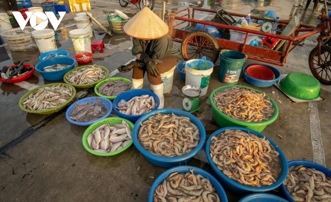 Fish market by Bai Tu Long Bay - 5 Fish market by Bai Tu Long Bay - 5
