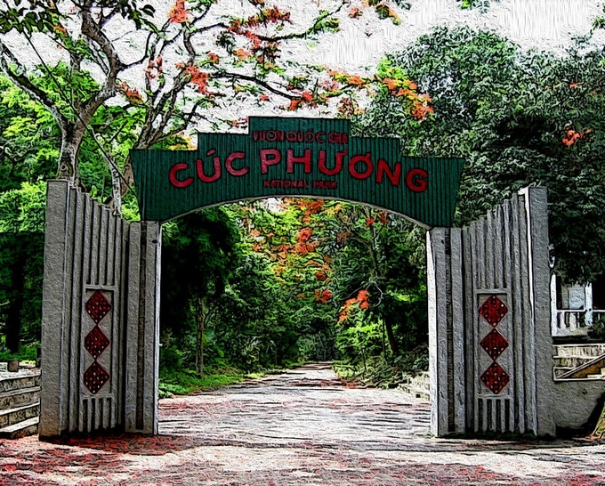 Over 100 wild animals released back to wild in Ninh Binh in first five months - 1 Over 100 wild animals released back to wild in Ninh Binh in first five months - 1
