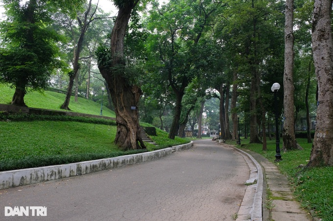 Hanoi’s three biggest parks face deterioration - 2