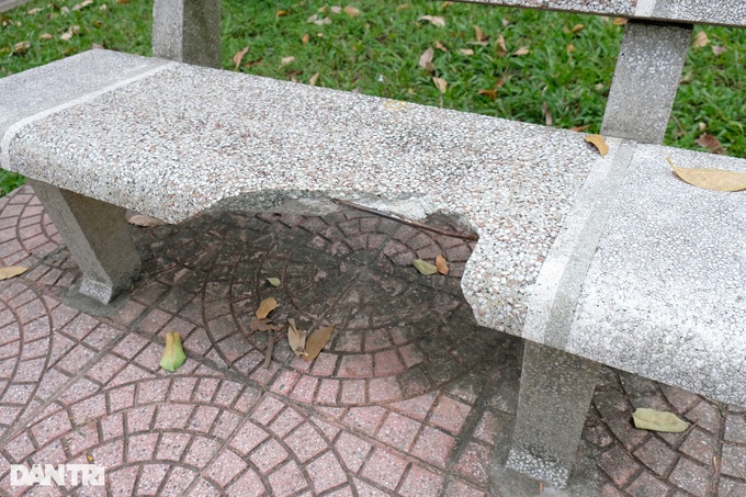 Hanoi’s three biggest parks face deterioration - 9