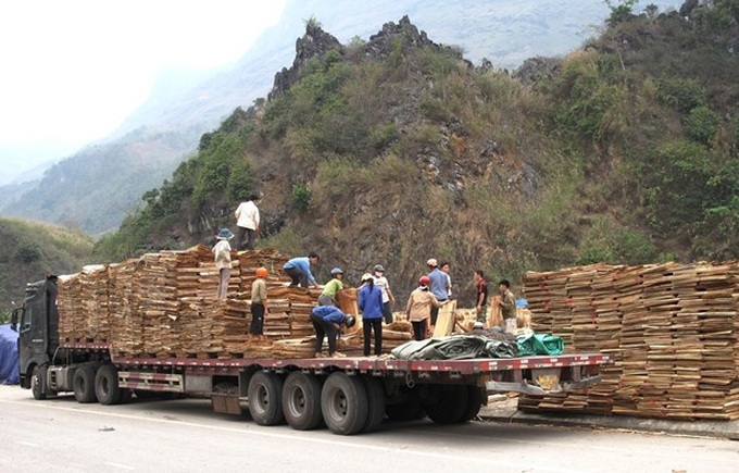 COVID-19: First batch of exports cleared at Thanh Thuy int’l border gate - 1 COVID-19: First batch of exports cleared at Thanh Thuy int’l border gate - 1