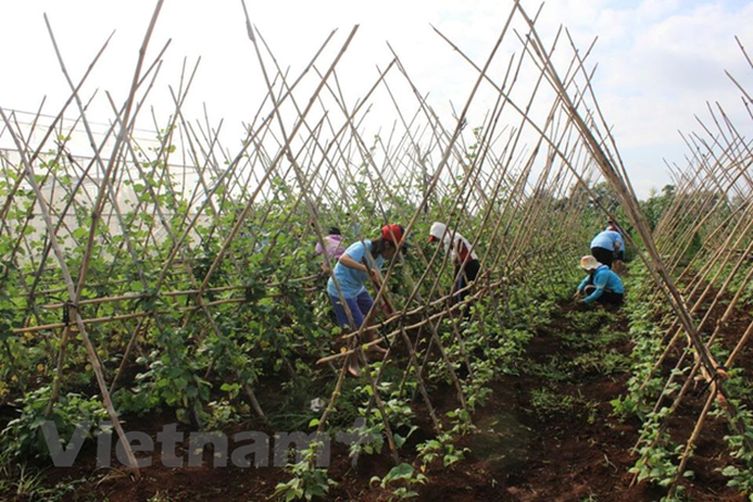 CPI in February highest in 8 years - 1