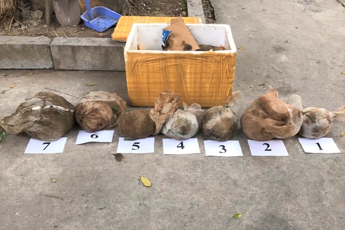 Seven pangolins found on coach - 1