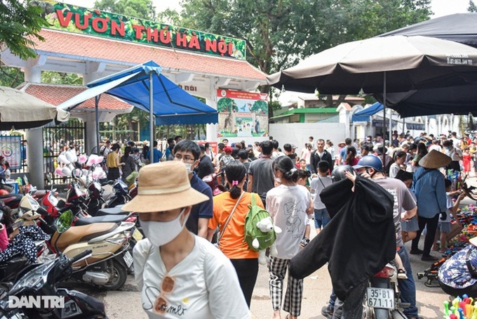 Hanoi to partly remove fences at Thu Le Zoo - 1