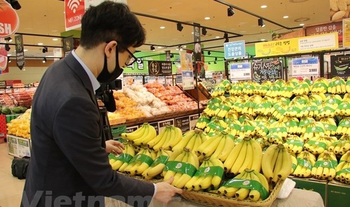 Vietnamese banana officially enters Lotte Mart in RoK - 1