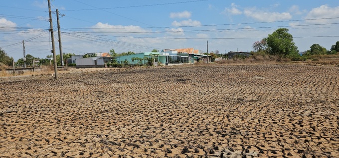 Long An residents face water scarcity - 1