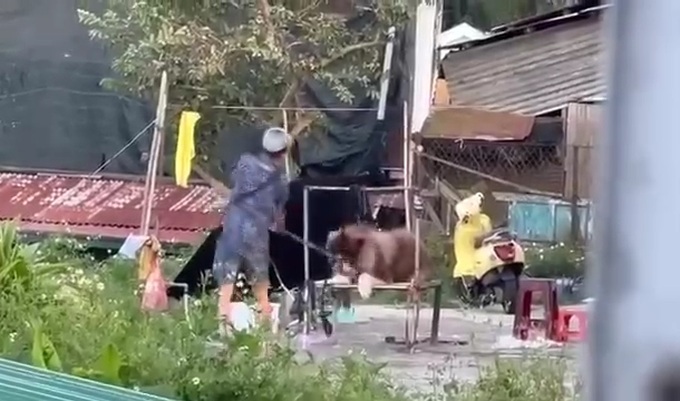 Da Lat authorities investigate dog mistreatment - 1