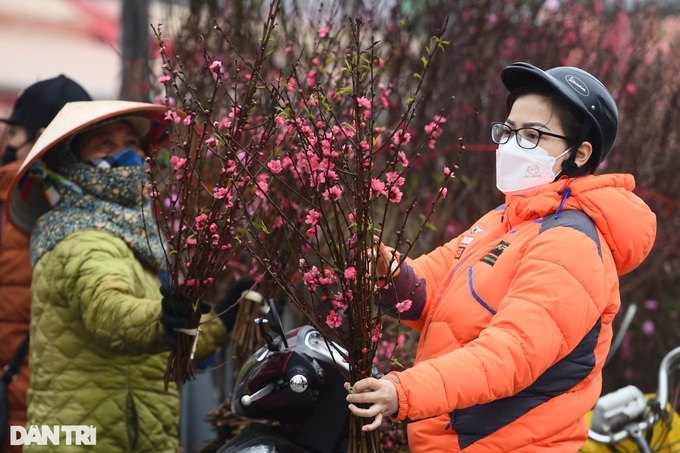 Hanoi streets covered in pink peach blossoms as Tet nears - 7