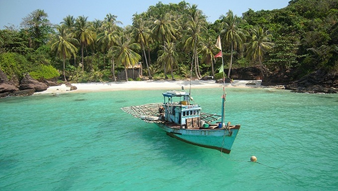 Colourful coral reefs shine in Phu Quoc - 1
