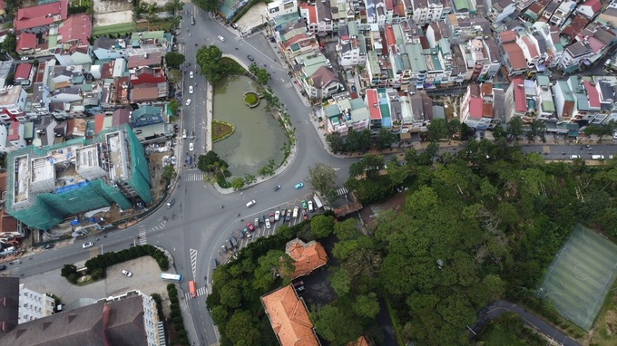 Hundreds of Dalat old trees to be cut down for road upgrade - 2