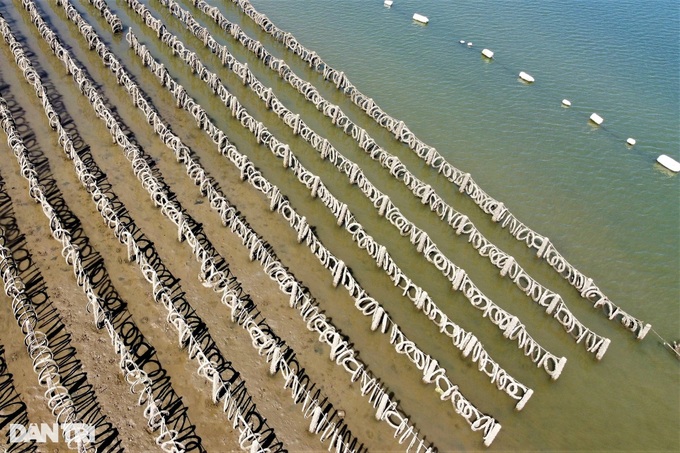 Bamboo and concrete obstacles affect Ha Tinh river traffic - 2