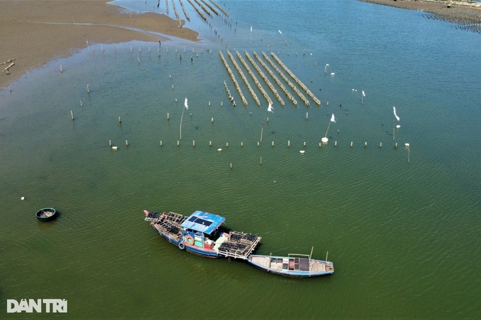 Bamboo and concrete obstacles affect Ha Tinh river traffic - 5