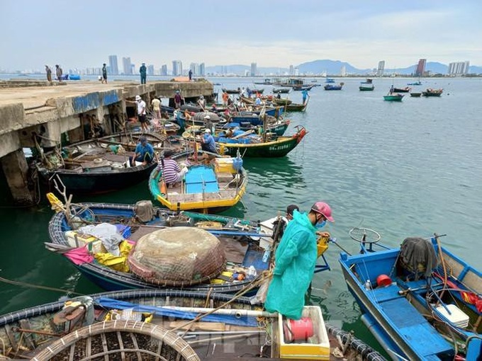 Typhoon Conson forecasted to hit central Vietnam - 1