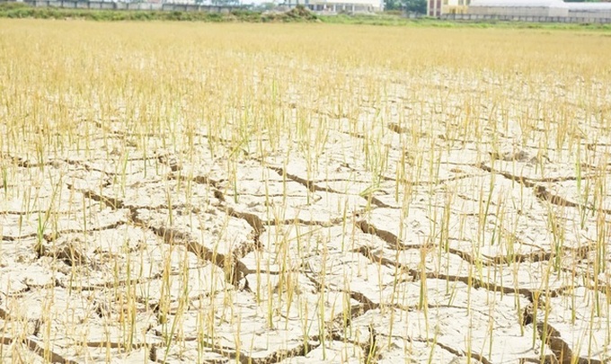 Severe drought continues hitting central region - 3 Severe drought continues hitting central region - 3
