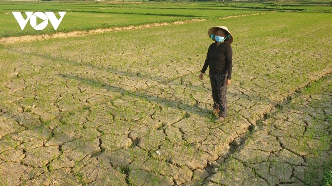 Temperature projected to rise by 6°C in Vietnam by the end of 21st century - 1 Temperature projected to rise by 6°C in Vietnam by the end of 21st century - 1