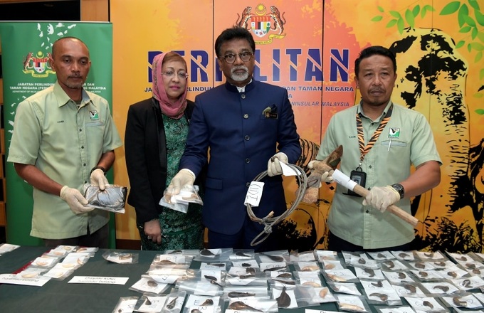 Malaysia arrests Vietnam poachers, seizes tiger, bear parts - 1