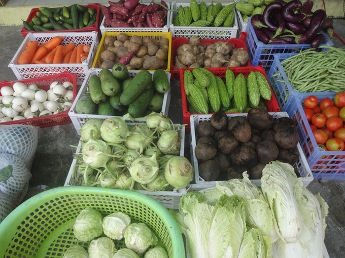 Zero-dong markets opened in Danang amid Covid-19 outbreak - 3 Zero-dong markets opened in Danang amid Covid-19 outbreak - 3