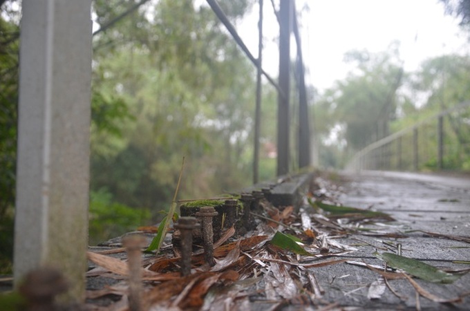 Dilapidated bridges in Quang Binh in need of renovation - 6