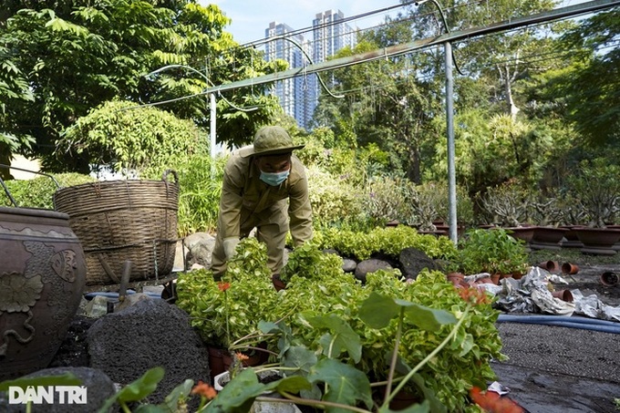 Saigon Zoo to open from this weekend - 2