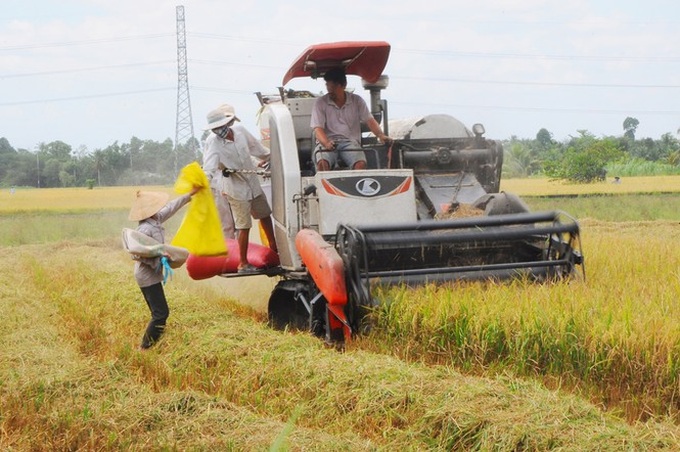 Vinh Long to spend VND400bn on agriculture museum - 1 Vinh Long to spend VND400bn on agriculture museum - 1