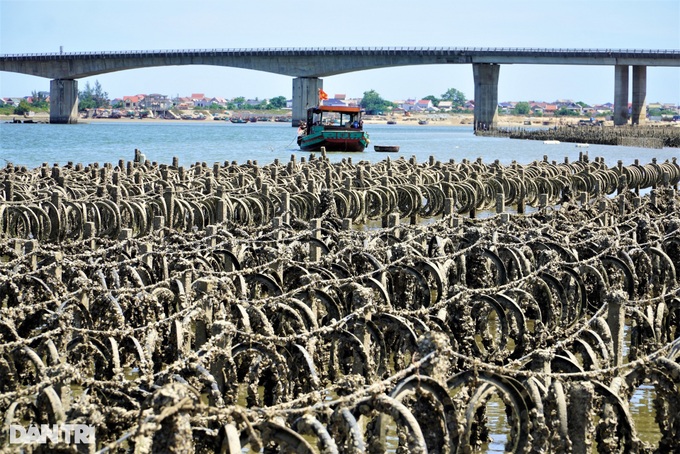 Bamboo and concrete obstacles affect Ha Tinh river traffic - 3