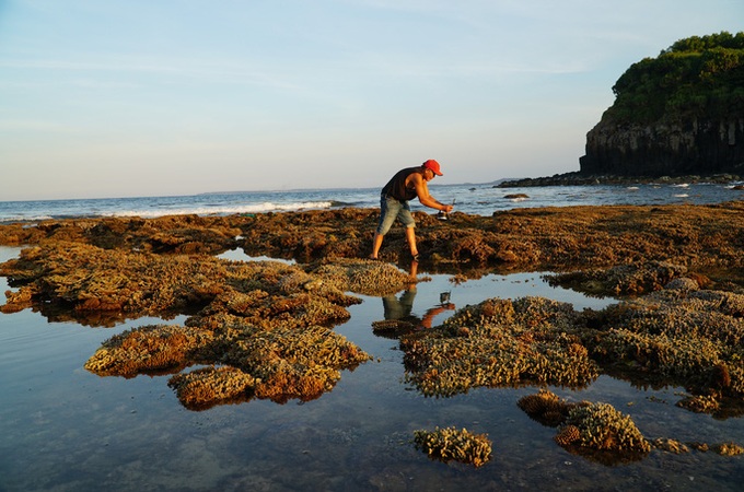 Quang Ngai nearshore coral reef amazes visitors - 4