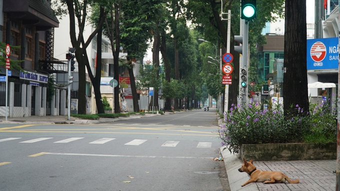 HCM City streets put under strict control amid lockdown - 6