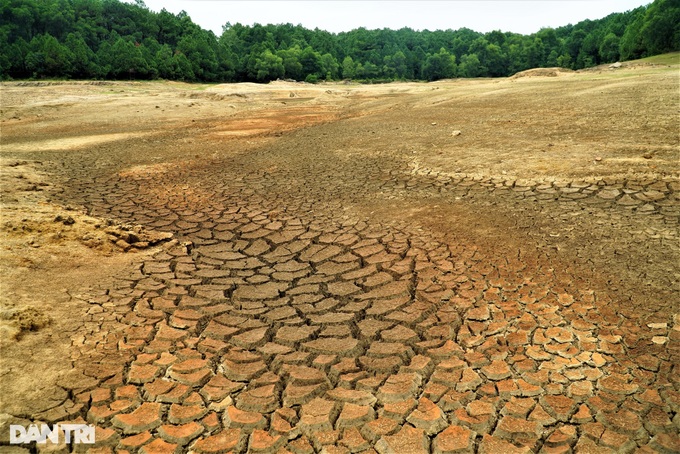 Ha Tinh lake dries out due to prolonged hot weather - 4