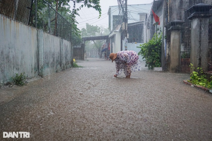 Son Tra Peninsula closed to visitors due to heavy rain - 1