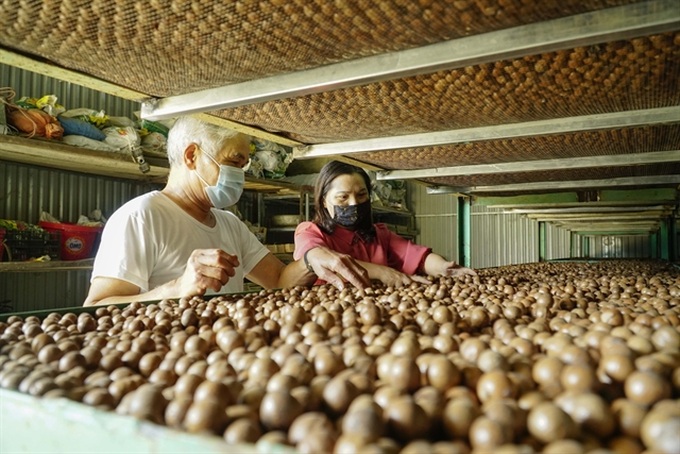 Vietnam expected to achieve five SDGs by 2030 - 1