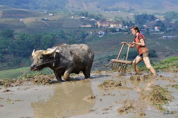 Foreign tourists interested in Sapa farming experience - 3 Foreign tourists interested in Sapa farming experience - 3