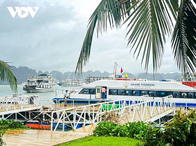 International tourists return to Ha Long Bay after Yagi dissipates - 1