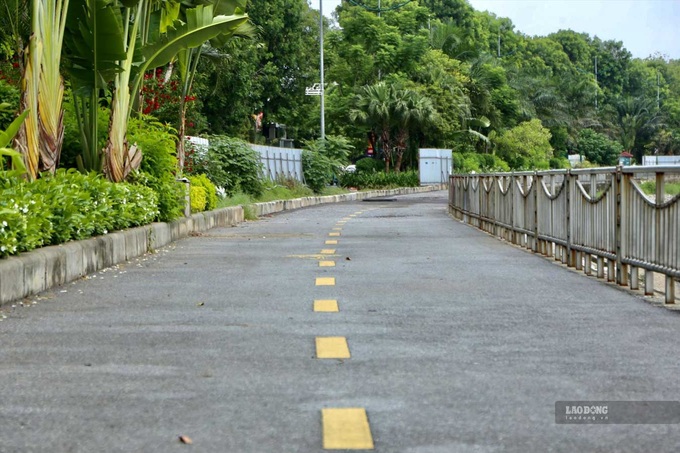 Two cycle lanes proposed for Hanoi - 3