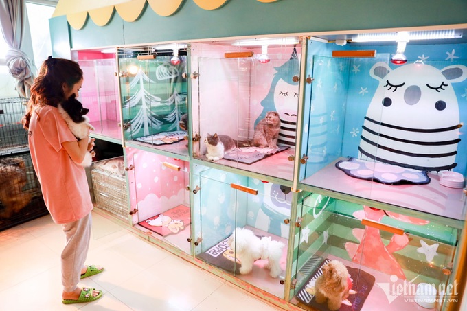 Pet hotel services busy during Tet Holiday - 1 Pet hotel services busy during Tet Holiday - 1