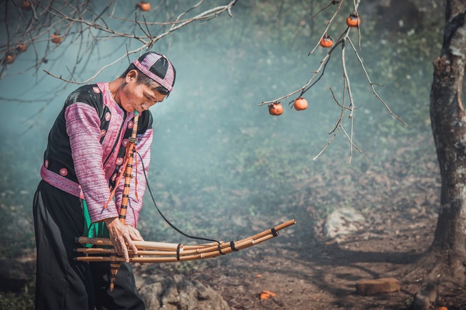 Plum blossoms in Moc Chau - 9 Plum blossoms in Moc Chau - 9