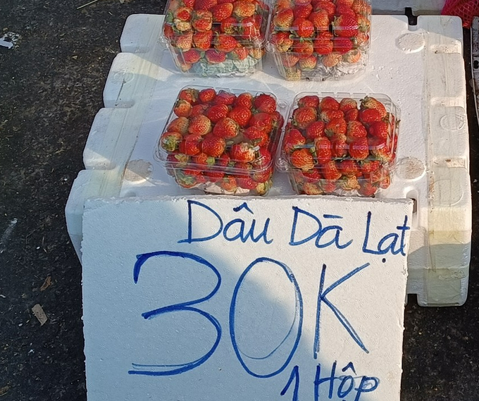 Traders' frauds cause losses to Dalat's strawberry farmers - 3 Traders' frauds cause losses to Dalat's strawberry farmers - 3