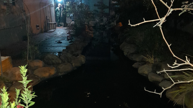 Two toddlers drown in Koi fish pond - 1