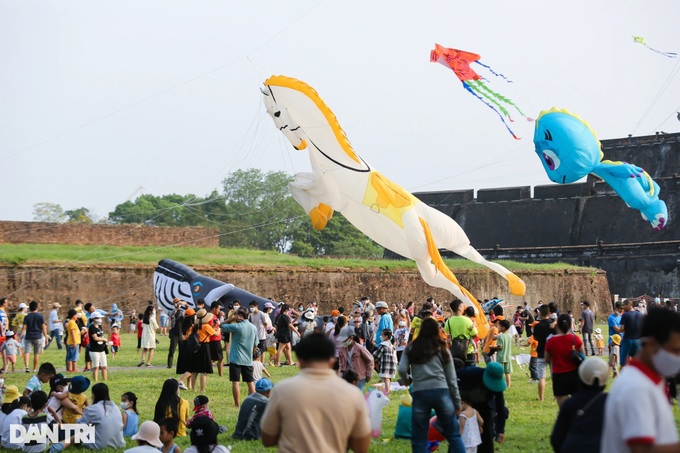 Thousands of kites fly at Hue festival - 3