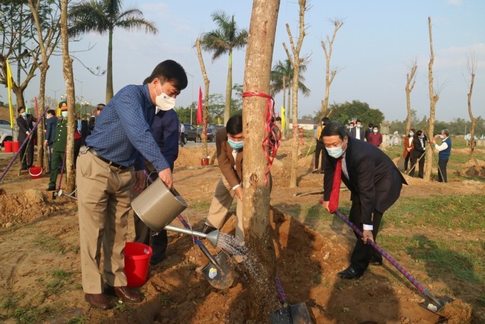 Quang Tri targets to grow one billion trees by 2025 - 1