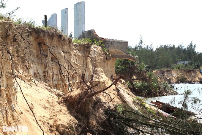 Quang Nam beaches severely eroded - 4