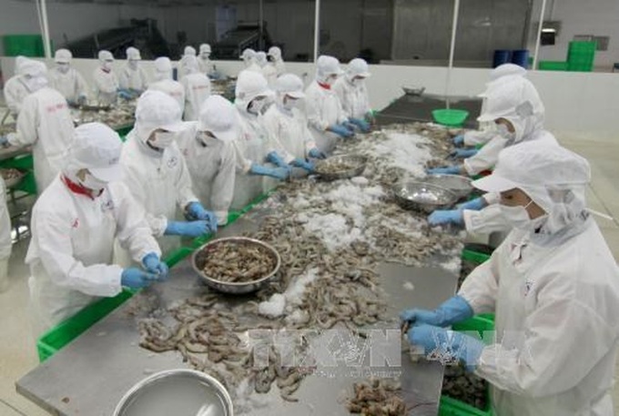 Plunge in Vietnam’s exports has bottomed out: VinaCapital - 1