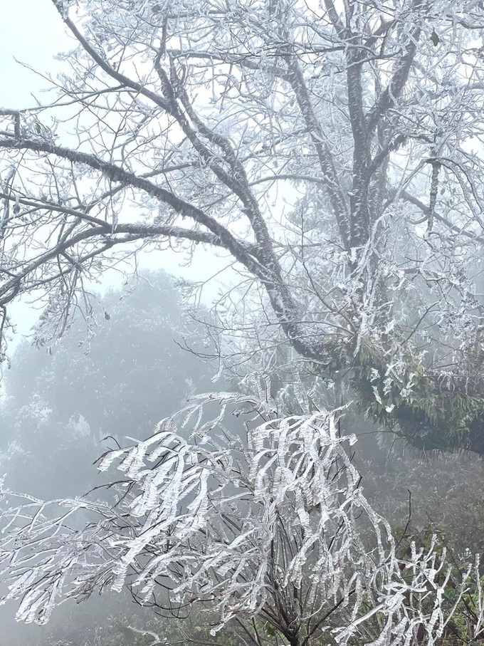 Fansipan peak covered in frost - 2